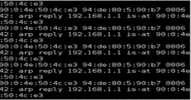 Fig. 7. Sniffed Data 