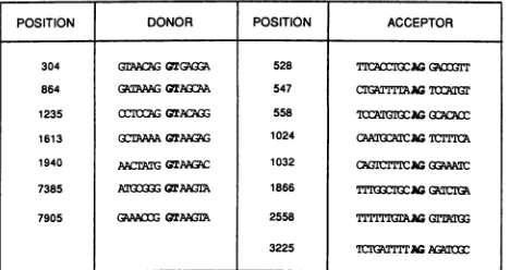 FIG. 2.junctionsConsensus Positions and surrounding DNA sequences of splice deduced from the viral cDNAs sequenced in this study