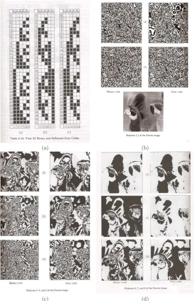 Figure 3.10: (a) Binary, Gray Comparison (b) bit-planes 1, 2 (c) bit-planes 3, 4, 5 (d)bit-planes 6, 7, 8