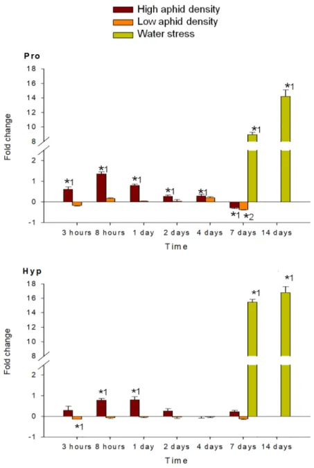 Fig 4. Fold change in Pro and Hyp of pepper leaves after different treatments (high aphid density, low aphid density, and water stress)