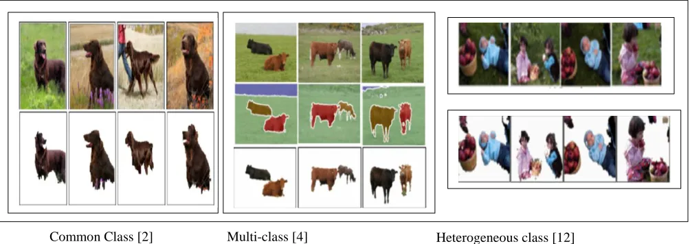 Fig. 2. Showing Co-Segmentation In Different Classes Of Objects 