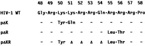 FIG.1.wild-typedirectedpgTATbydeletedcompetent Predicted amino acidsequence oftat mutants