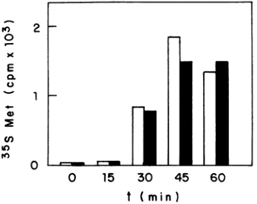 FIG. 6.extraction,wereHSV-1 Synergistic effect of TNF and IFN-y on transcription of genes in HEp-2 cells