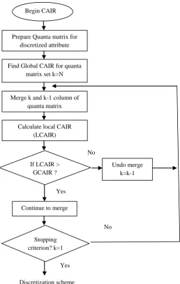 Fig. 3: The Process of CAIR based merging in MCAIM discretization 
