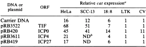 FIG. 2.RsaI-BamHIRsaIRsaIdrivingquences.derivativeswaspCAT3minitiationlocalizenoncoding1,060-bpE6-E71,221-bp Schematic diagram illustrating the constructs usedto the TIF- and ICPO-responsivesequences in the HPV-18 region