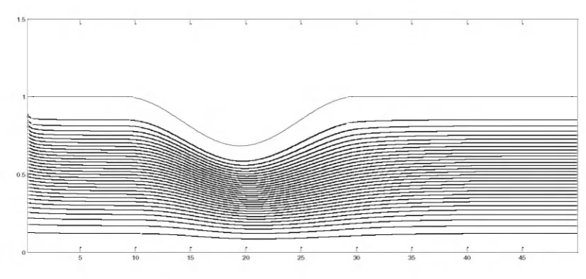 Figure 1.4.4(b) The pattern of streamlines for a stenosed artery with 30% area occlusion at