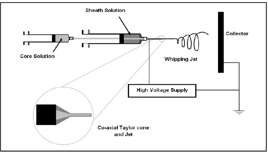 Figure 3.3. Schematic of the co-axial electrospinning system. (Adapted from: [80])  