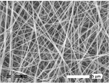 Figure 3.4. SEM image of the PCL scaffold structure.  Average fiber diameter: 280  51 nm