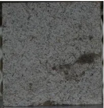Fig. 4. Proposed approach  