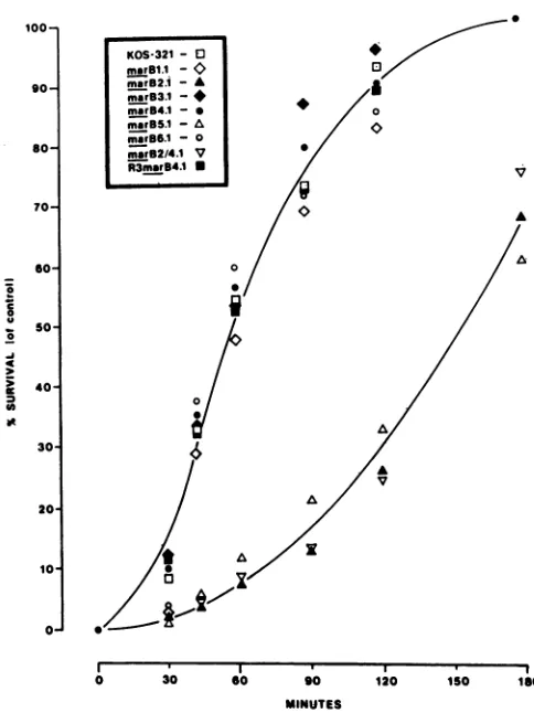 FIG. 2.tants.typecodingchangesamino(29).theidentical,antibodies.Maxamthe Nucleotide and amino acid substitutions in mar B mu- The regions depicted at the bottom of Fig