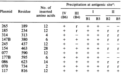 TABLE 2. Radioimmune precipitation of gB HpaI linker-insertion mutants