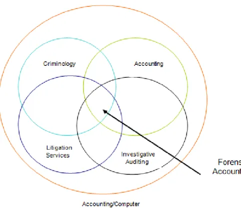 Figure 1.  Skill Sets in Forensic Accounting      