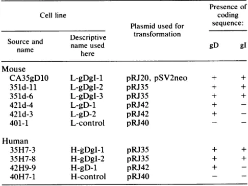 FIG.-,IhumanwithTheofmarker.codingdenotehuman the1. Plasmids used for transfection to isolate mouse and cell lines expressing HSV-1 gD