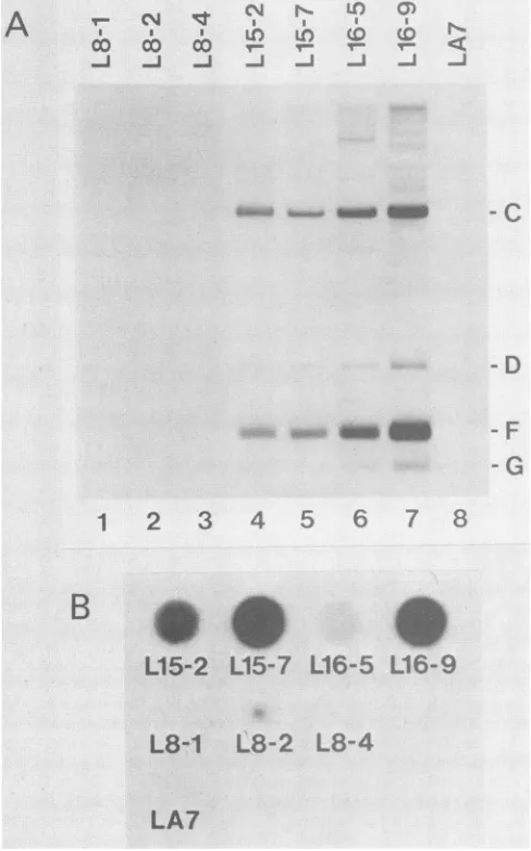 FIG.adenocarcinoma