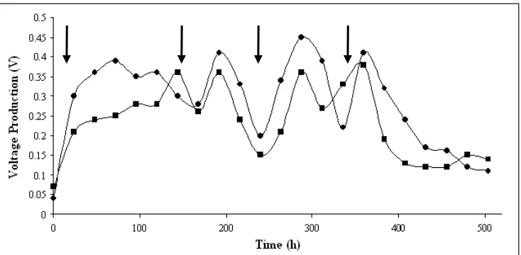 Figure 3: Charging and discharging curves for long-term operation of set up by Strains 