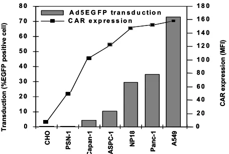 Figure 1: Ad5EGFP-mediated transduction in a panel of human pancreatic tumour cell lines