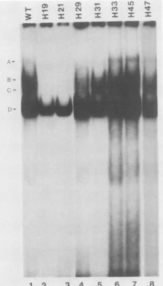 FIG. 3.four(10a21-bpcellprobesB, 6% C, Binding of cellular factors to WT and mutated HTLV-I oligonucleotides