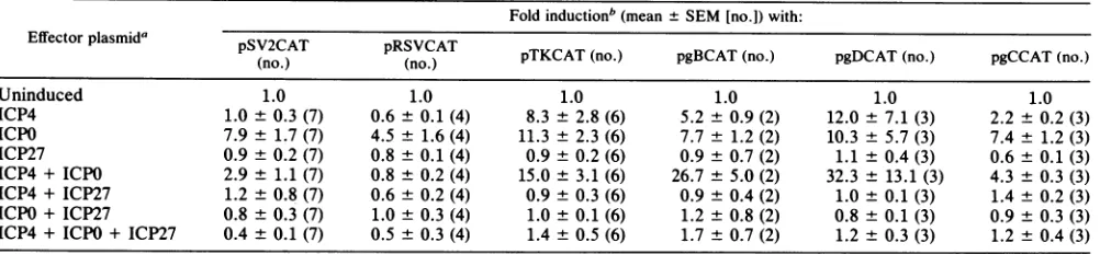 TABLE 1. Effects of equimolar ratios of effector plasmids on heterologous and HSV-1 target genes