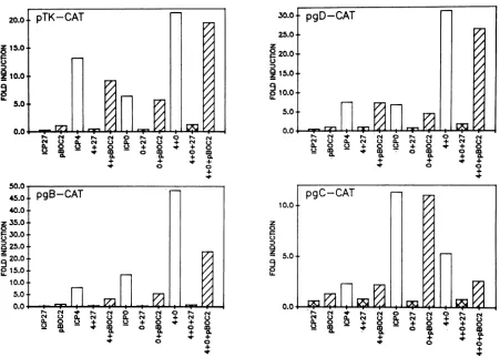 FIG. 2.expressionincludedplasmidsB/S.FourB/S Requirement of ICP27 protein for down-regulation of induction seen with HSV-1 target plasmids in the presence of ICP4 and ICPO