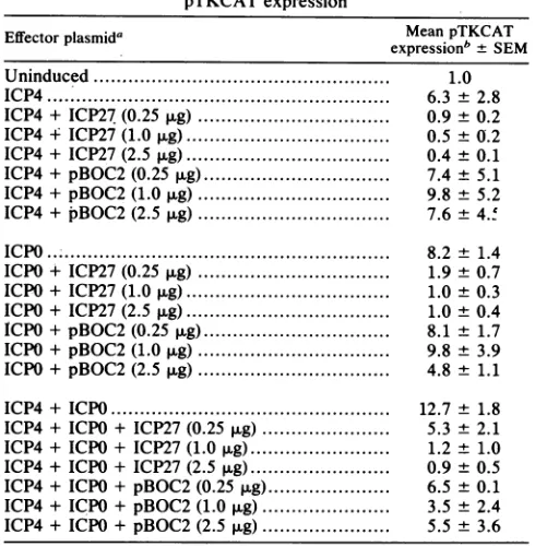 TABLE 2. Effects of increasing amounts of plasmids containingthe ICP4 gene or ICP4 promoter on pSV2CAT and pTKCAT