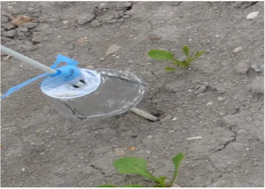 Figure 2.5: The polystyrene cups covered with aluminium foil to protect the loggers. 
