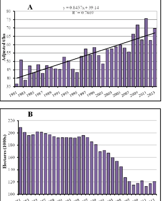 Figure 1.1: Average sugar beet yield (from British Sugar data) from 1981 to 2013 (A), and the UK area  harvested (B) (Limb, 2014) 