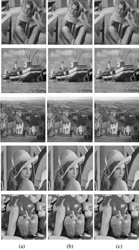 Fig. 5. (a). original images with size 512 x 512  pixels, (b) BTC Images, 