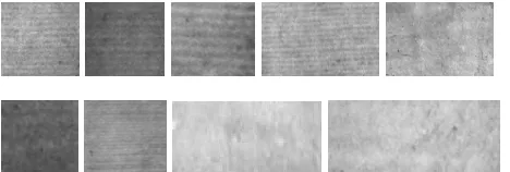 Figure 5. Sample images of ancient manuscripts used to test our algorithm.  
