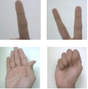 Figure 1 given below. Then, based on the comparison graphs, The comparison graphs for the four methods are shown in we compared the performance of various input images with the database images
