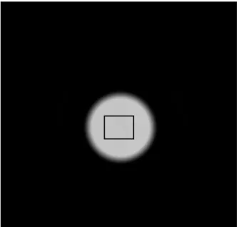 Figure 7. The box in the 540 nm image shows the area for which the values were extracted, 204  by 245 pixels