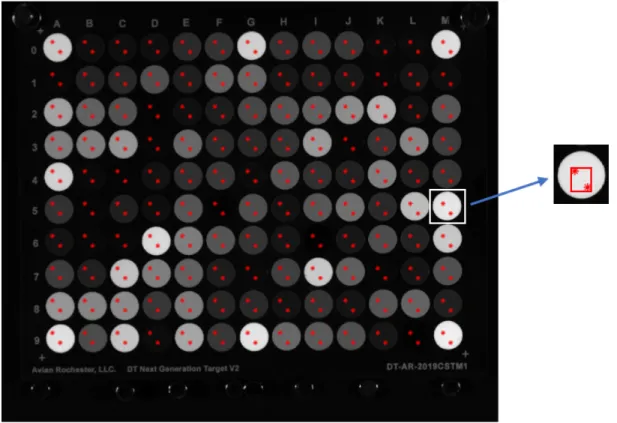 Figure 13. Sample image of a target showing marked areas where camera signals were averaged