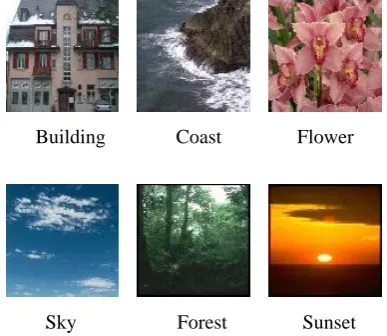 Fig. 7. The example images of each scene  In the experiment, we extracted two low-level features that are 
