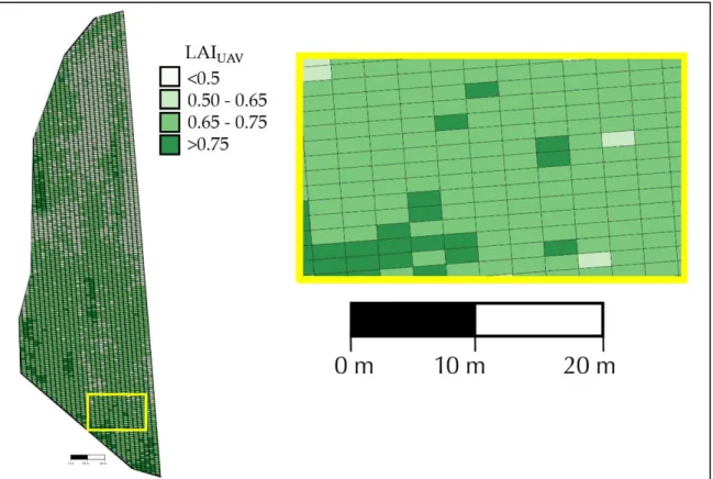 Figure 2. LAI map, plant basis, produced from the grid analysis of UAV multispectral images
