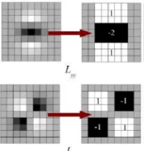 Fig. 3. The Gaussian Second order partial derivative box filters in y- (Dyy) and xy-direction (Dxy) [6]