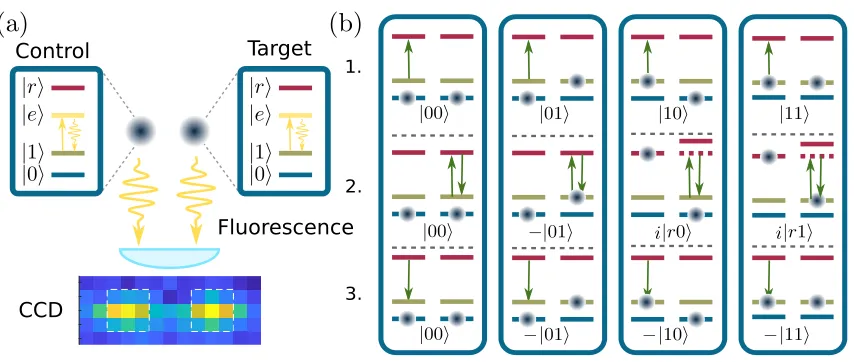 Figure 3. (a) State-selective ﬂuorescence for qubit-state readout using high numericalgate using Rydberg blockade to prevent both control and target atoms being in theRydberg state simultaneously, leading to a conditional phase shift acquired on theaperture lenses to collect light onto camera (b) Schematic of the controlled-phase (Cz)output state.