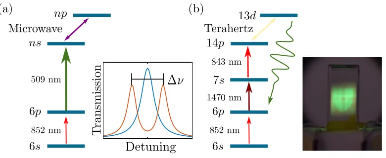 Figure 4. Level schemes for microwave electric ﬁeld sensing and terahertz imaging. (a)A typical laser conﬁguration for microwave electric ﬁeld sensing using cesium
