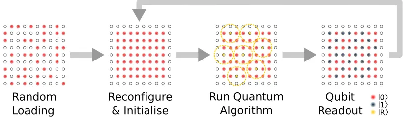 Figure 2. Schematic of a Rydberg array quantum computer. Atoms are initiallyloaded stochastically, followed by rearrangement to achieve a defect free qubit register.Coherent excitation to Rydberg states allows implementation of quantum algorithmsexploiting long-range interactions to couple neighbouring qubits, followed by state-selective readout which is repeated many times to tomographically reconstruct theoutput state.