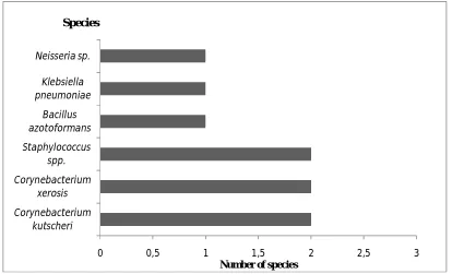 Figure 3. The total number of bioflocculant-producing bacteria and non-bioflocculant-producing  bacteria isolates for each DOC 0, DOC 30 and DOC 70 from P