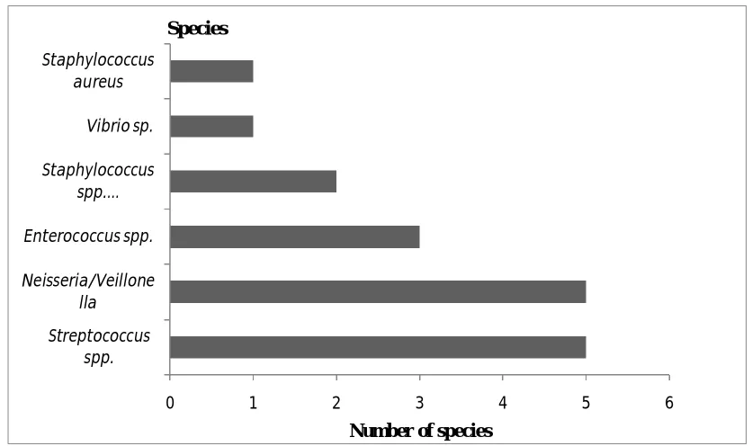 Figure 5. The bacteria species distribution of bioflocculant-producing bacteria from biofloc  sample at DOC 30