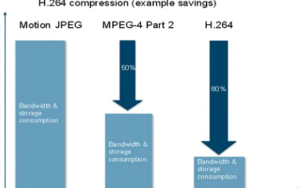 Fig. 1. H.264 compression importance 
