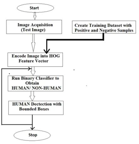 Fig. 3. Results after HOG algorithm for human in standing position. 