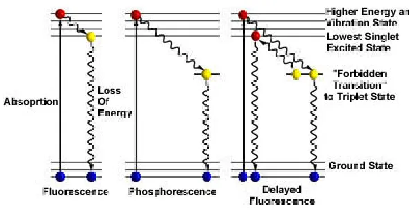 Figure 3.4 – Jablonski Diagram 