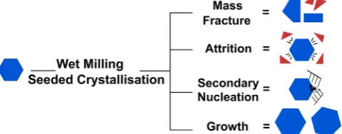 Fig. 1. Schematic highlighting potential mechanisms involved when operatinga wet milling seeded crystallisation (WMSC) process, adapted from (Engstromet al., 2013)