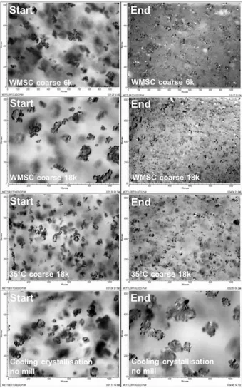 Fig. 5. Inline PVM images showing the suspended crystals at the start and end of each run.