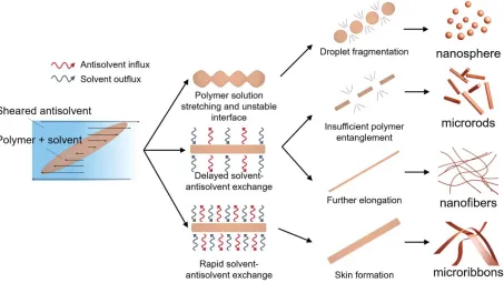 Figure 1.2. Schematic of the series of concurrent processes leading to the formation of various polymer structures during the shearing of solution droplets