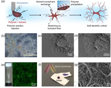 Figure 2.1. Fabrication, morphology, and structure-enabled applications of soft dendritic colloids