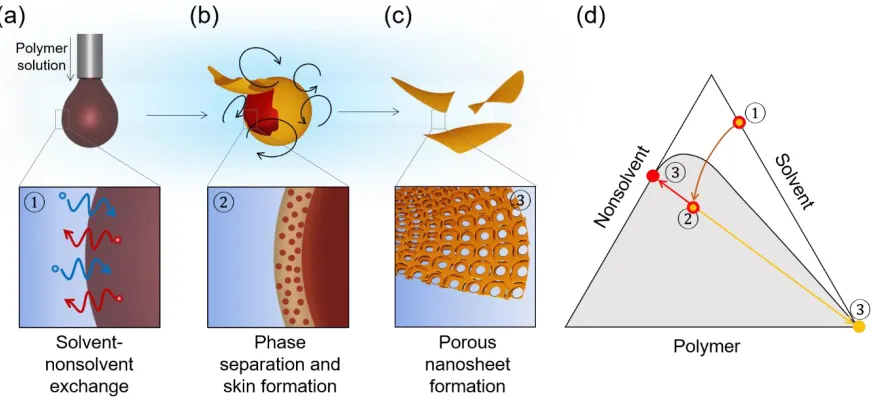 Figure 3.1. Schematics of formation of mesoporous polymer nanosheet. (a) Polymer solution is injected into a turbulently sheared nonsolvent medium