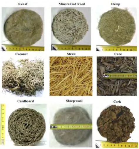 Figure 1.1: The example of natural fibers (Berardi and Iannace, 2017). 