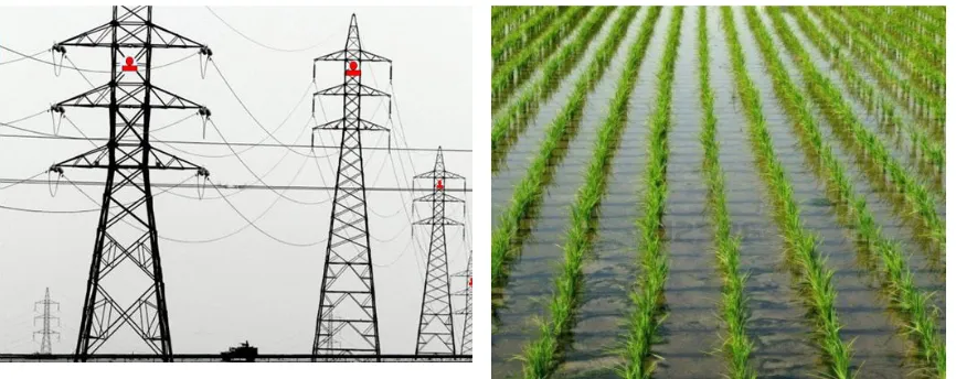 Fig. 12. Sensor nodes on transmission poles 