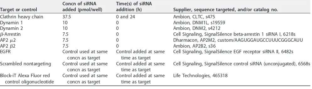 TABLE 1 Conditions for siRNAs used in this study